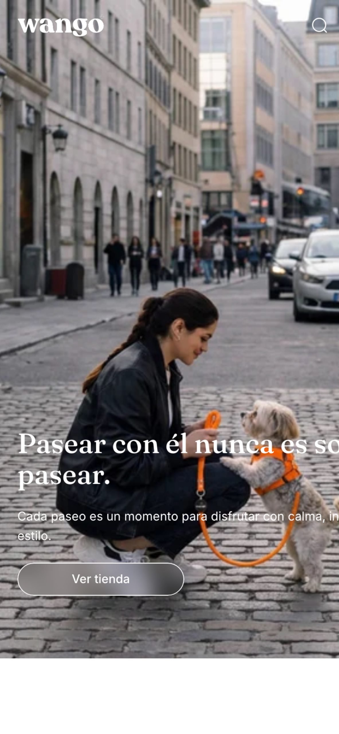 Experiencia móvil primera